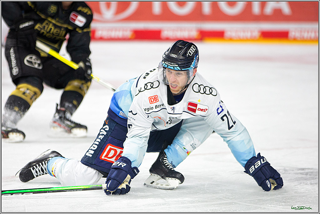 PENNY DEL;  Kölner Haie - ERC Ingolstadt; Köln, 25.11.2022
